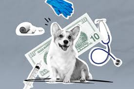 Pet insurance