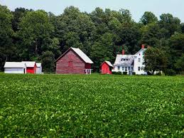 Country farm Delaware