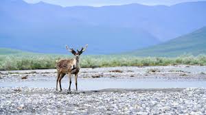 National Wildlife Refuge 